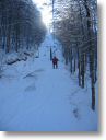 neve001.jpg