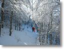 neve006.jpg