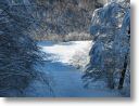 neve007.jpg