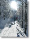 neve009.jpg