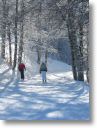 neve027.jpg