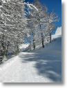 neve029.jpg