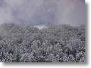 neve014.jpg