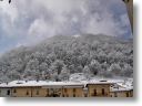 neve015.jpg