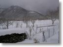 neve023.jpg