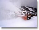 neve031.jpg