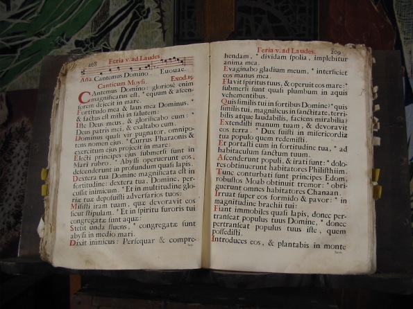 proce014.jpg