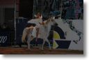 foto110.jpg