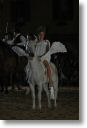 foto115.jpg