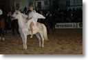 foto116.jpg