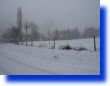 foto018.jpg