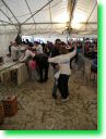 sagra205.jpg