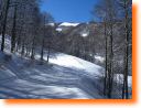 foto035.jpg