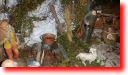 foto22.jpg