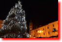foto23.jpg