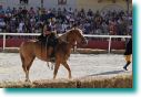foto416.jpg