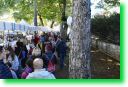 foto151.jpg