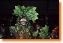 foto081.jpg