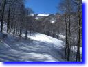 foto002.jpg