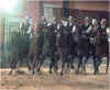 horse10.jpg (41526 byte)
