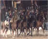 horse11.jpg (40464 byte)